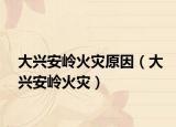 大興安嶺火災(zāi)原因（大興安嶺火災(zāi)）