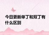 今日更新單丁和雙丁有什么區(qū)別