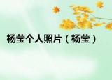 楊瑩個(gè)人照片（楊瑩）