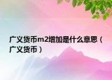 廣義貨幣m2增加是什么意思（廣義貨幣）