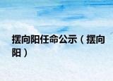 擺向陽任命公示（擺向陽）