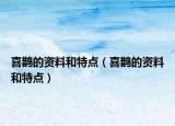 喜鵲的資料和特點（喜鵲的資料和特點）