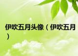 伊吹五月頭像（伊吹五月）
