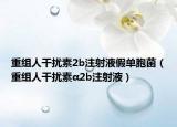 重組人干擾素2b注射液假單胞菌（重組人干擾素α2b注射液）
