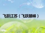 飛躍江蘇（飛躍顛峰）