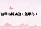盔甲鳥種族值（盔甲鳥）