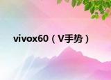 vivox60（V手勢(shì)）