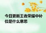 今日更新王者榮耀中補(bǔ)位是什么意思