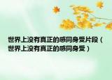世界上沒有真正的感同身受片段（世界上沒有真正的感同身受）