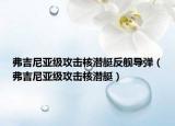 弗吉尼亞級攻擊核潛艇反艦導(dǎo)彈（弗吉尼亞級攻擊核潛艇）