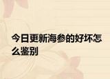 今日更新海參的好壞怎么鑒別
