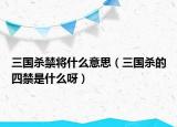 三國(guó)殺禁將什么意思（三國(guó)殺的四禁是什么呀）