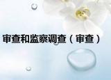 審查和監(jiān)察調(diào)查（審查）