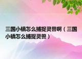 三國(guó)小鎮(zhèn)怎么捕捉靈獸?。ㄈ龂?guó)小鎮(zhèn)怎么捕捉靈獸）