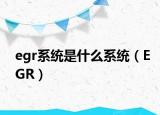 egr系統(tǒng)是什么系統(tǒng)（EGR）
