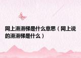 網(wǎng)上滑滑梯是什么意思（網(wǎng)上說(shuō)的滑滑梯是什么）