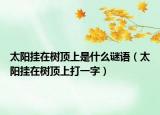 太陽(yáng)掛在樹(shù)頂上是什么謎語(yǔ)（太陽(yáng)掛在樹(shù)頂上打一字）