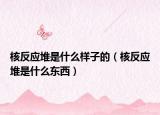 核反應(yīng)堆是什么樣子的（核反應(yīng)堆是什么東西）