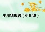 小川鎮(zhèn)視頻（小川鎮(zhèn)）