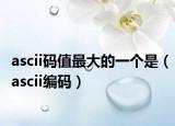 ascii碼值最大的一個(gè)是（ascii編碼）
