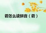 菪怎么讀拼音（菪）