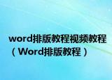word排版教程視頻教程（Word排版教程）
