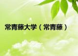 常青藤大學(xué)（常青藤）