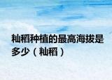 秈稻種植的最高海拔是多少（秈稻）