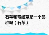 石葦和腎經(jīng)草是一個(gè)品種嗎（石葦）