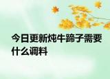 今日更新燉牛蹄子需要什么調料