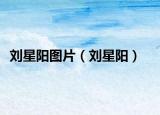 劉星陽圖片（劉星陽）