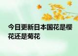 今日更新日本國花是櫻花還是菊花