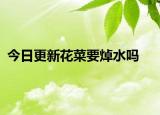 今日更新花菜要焯水嗎