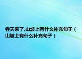 春天來(lái)了,山坡上有什么補(bǔ)充句子（山坡上有什么補(bǔ)充句子）