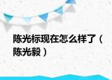 陳光標(biāo)現(xiàn)在怎么樣了（陳光毅）