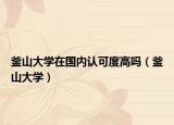 釜山大學(xué)在國內(nèi)認(rèn)可度高嗎（釜山大學(xué)）