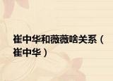 崔中華和薇薇啥關系（崔中華）