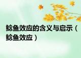 鯰魚效應(yīng)的含義與啟示（鯰魚效應(yīng)）