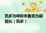 凱多為啥稱布魯克為副船長（凱多）