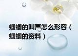 蟈蟈的叫聲怎么形容（蟈蟈的資料）