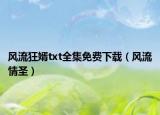 風流狂婿txt全集免費下載（風流情圣）