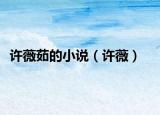 許薇茹的小說（許薇）