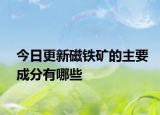 今日更新磁鐵礦的主要成分有哪些