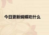 今日更新蝴蝶吃什么