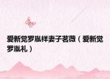 愛新覺羅胤祥妻子茗薇（愛新覺羅胤禮）