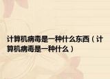 計算機(jī)病毒是一種什么東西（計算機(jī)病毒是一種什么）