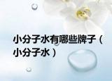 小分子水有哪些牌子（小分子水）