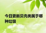 今日更新貝殼類屬于哪種垃圾