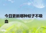 今日更新哪種蚊子不吸血