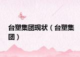 臺塑集團(tuán)現(xiàn)狀（臺塑集團(tuán)）